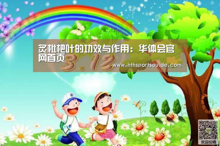 炙枇杷叶的功效与作用：华体会官网首页(图2)