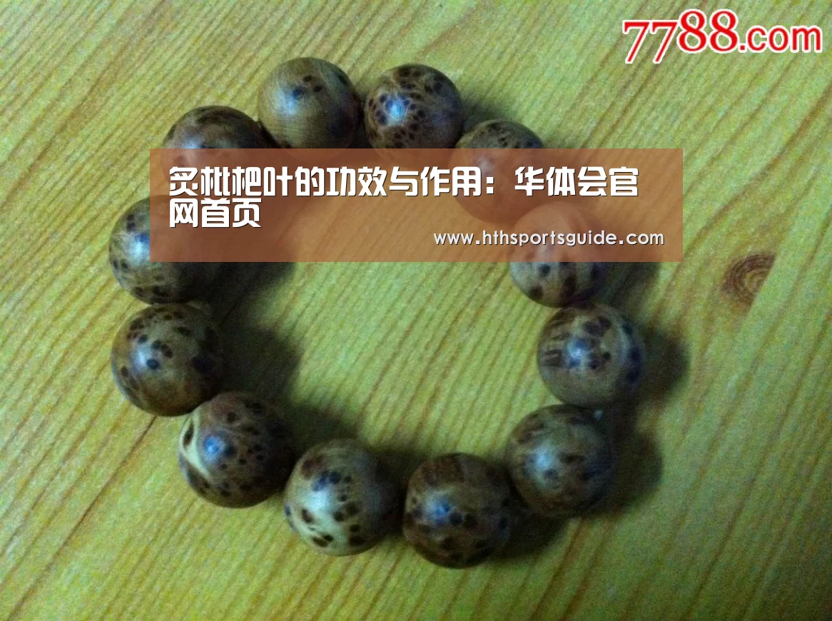 华体会体育网页版